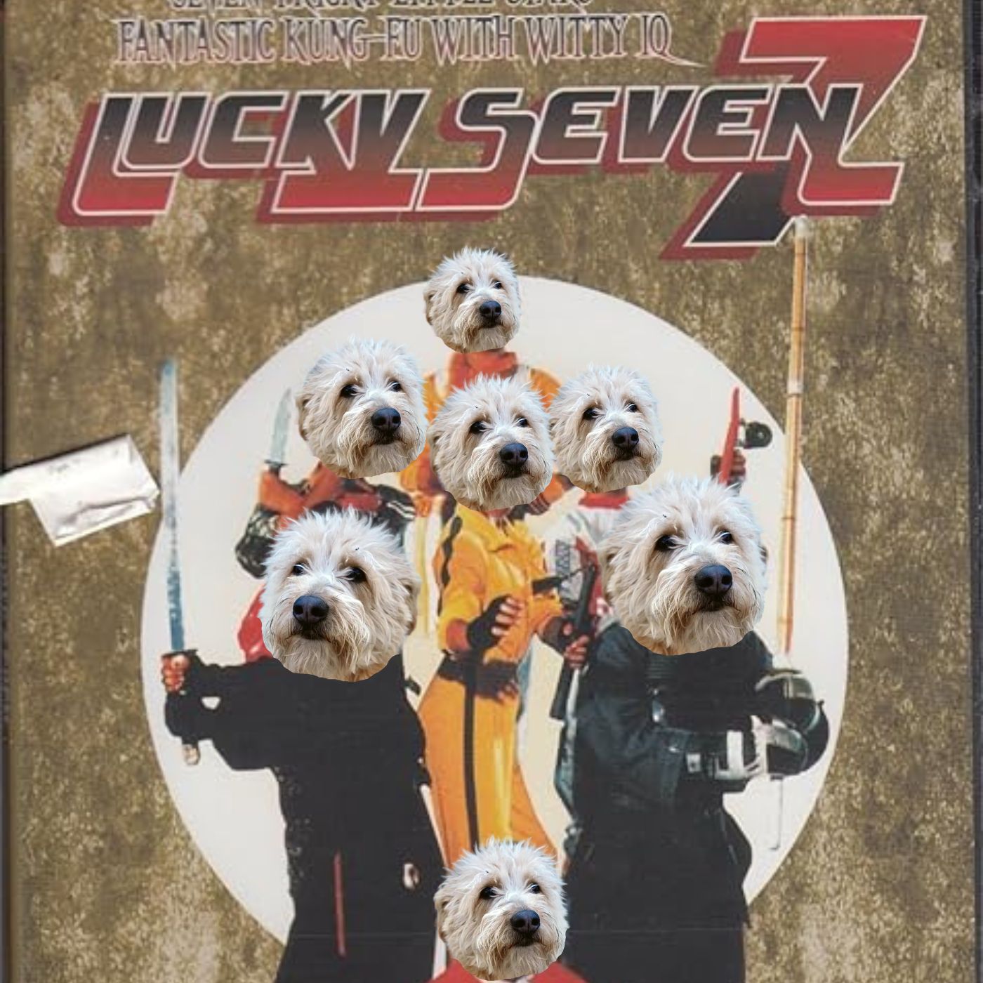 The Lucky Seven: things you can do to improve your mycology game without expensive equipment