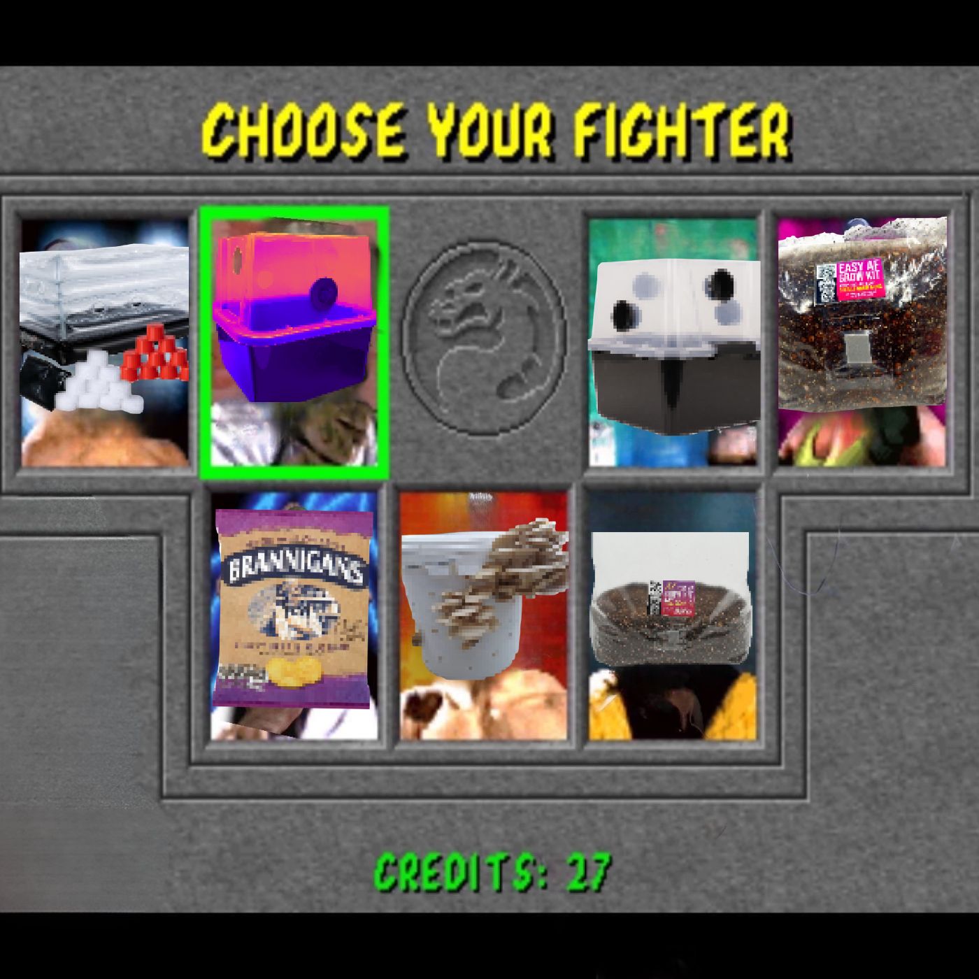 Should I grow mushrooms in the bag, or in a monotub?