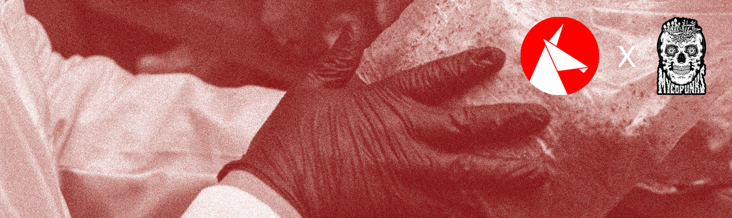 MycoPunks x Unicorn Bags