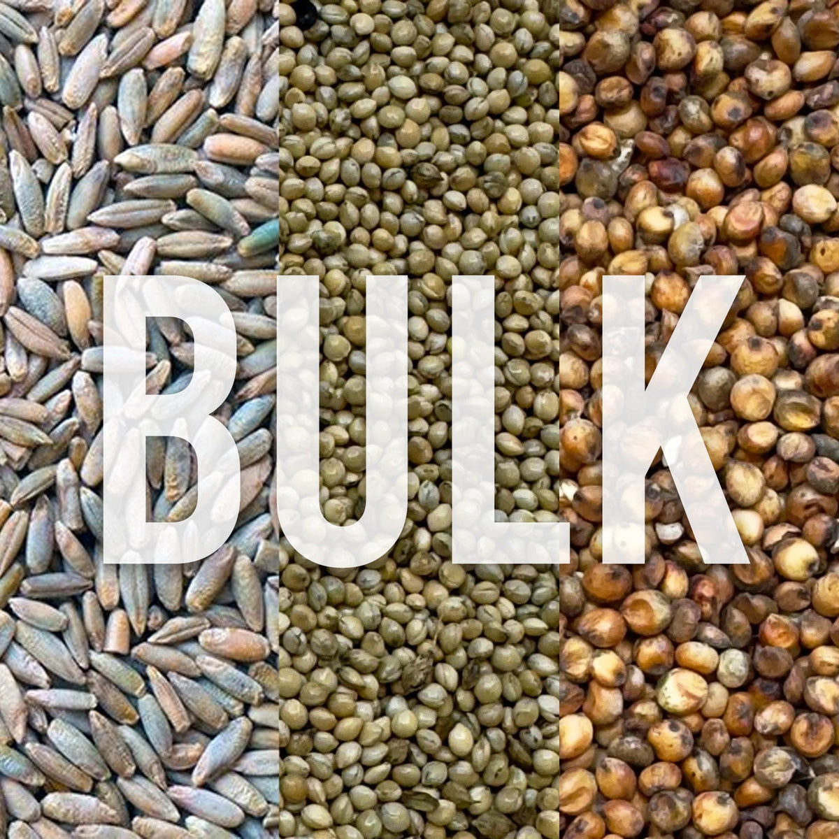 Wholesale Raw Grain