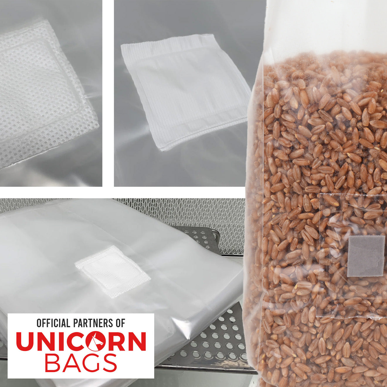Unicorn Mushroom Spawn Bags