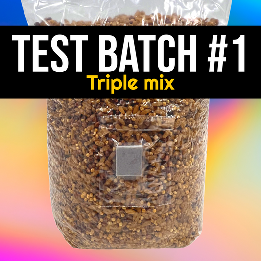 Test Batch #1 : Triple Mix sterile grain for making mushroom grain spawn