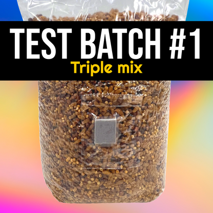 Triple Mix sterile grain for making mushroom grain spawn