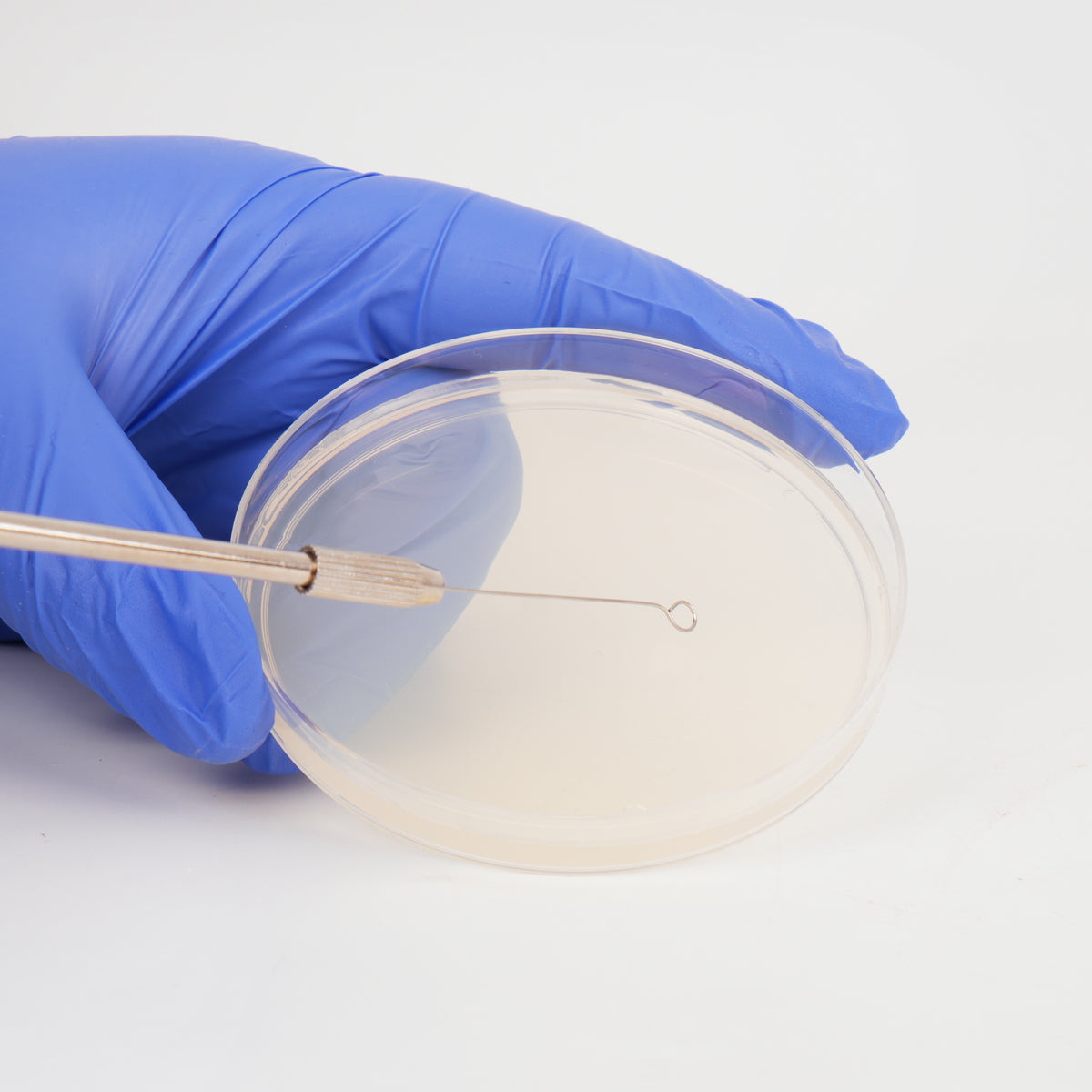 Reusable Inoculating Loop with 25 Nichrome Needle Tip Inoculation Ring ...