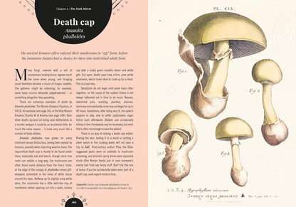 Kew - The Magic of Mushrooms : Fungi in folklore, superstition and traditional medicine