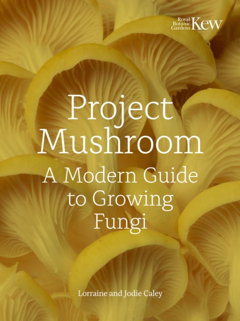 Project Mushroom : A Modern Guide to Growing Fungi (Hardcover)