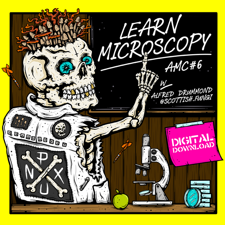 MycoPunks