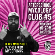 Afterschool Mycology Club #5 - W/ Chris @mycopunks (Digital Download)