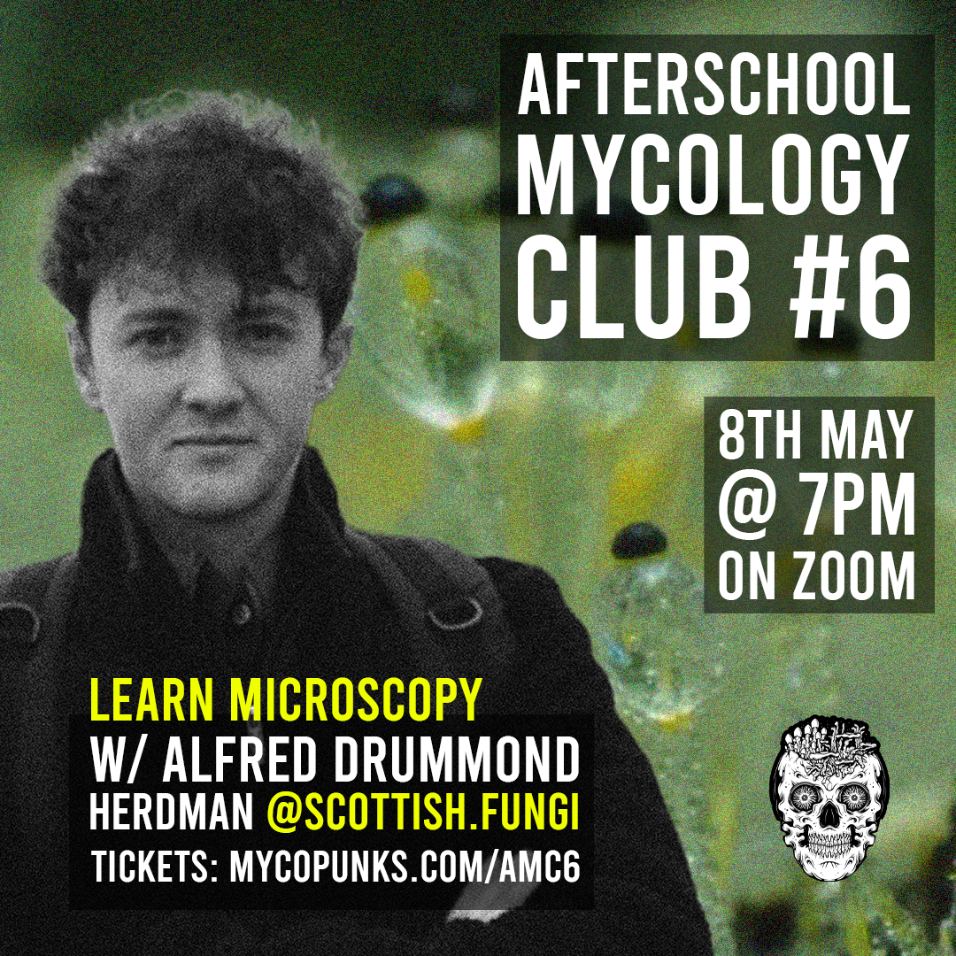 Afterschool Mycology Club #6 - W/ Alfred @scottish.fungi (8 May)