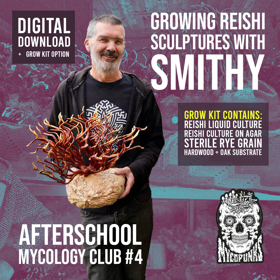 Afterschool Mycology Club #4 - Grow Reishi Sculptures w/ Smithy! DIGITAL DOWNLOAD