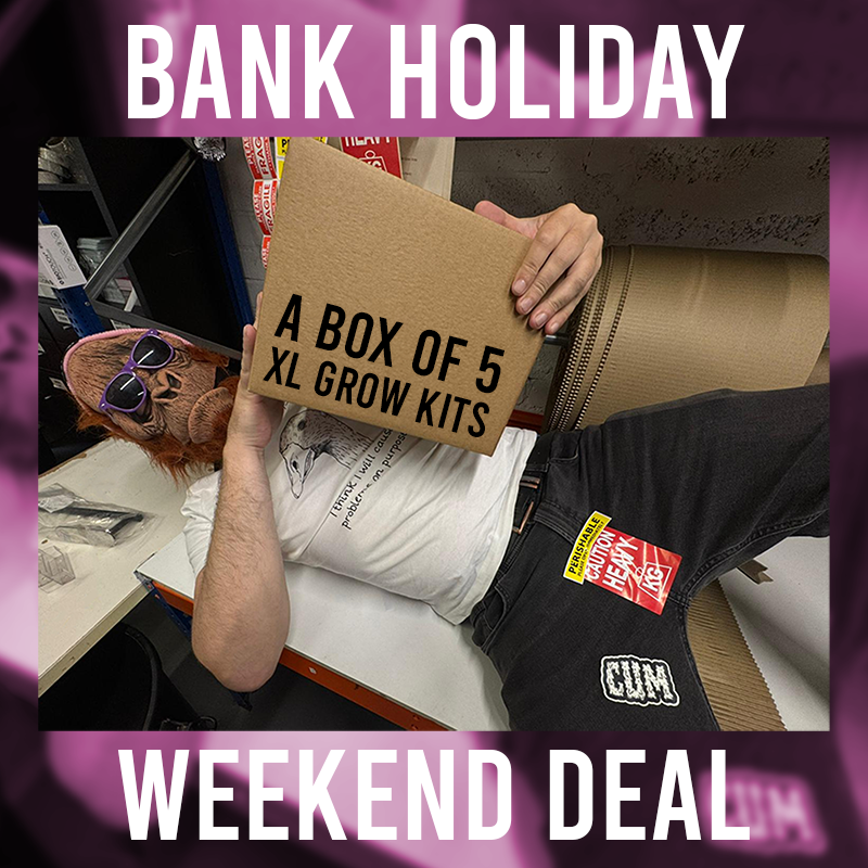 Bank Holiday Grow Kit Box (5 XL grow kits for 50%) SUPER LIMITED EDITION