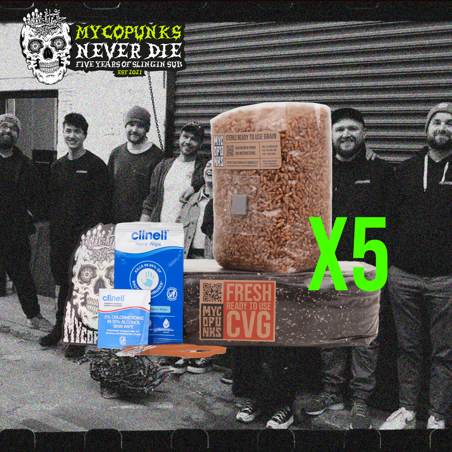 BEGINNER GROW KITS - 5 FOR THE PRICE OF 3 BUNDLE!