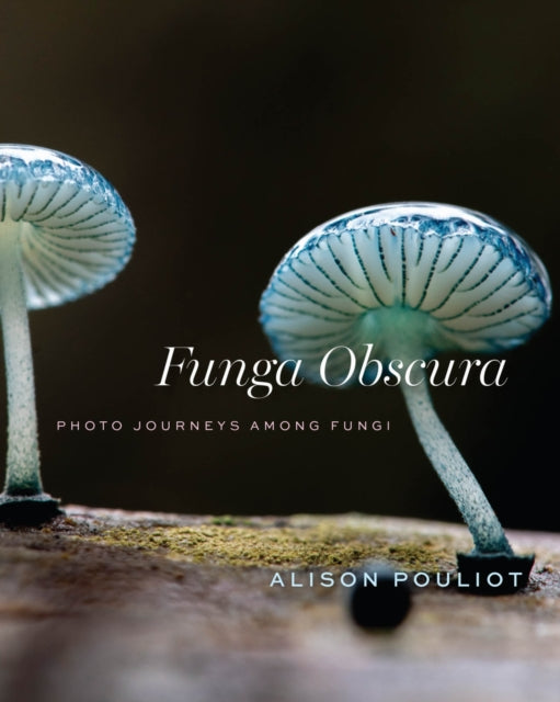 Funga Obscura : Photo Journeys Among Fungi