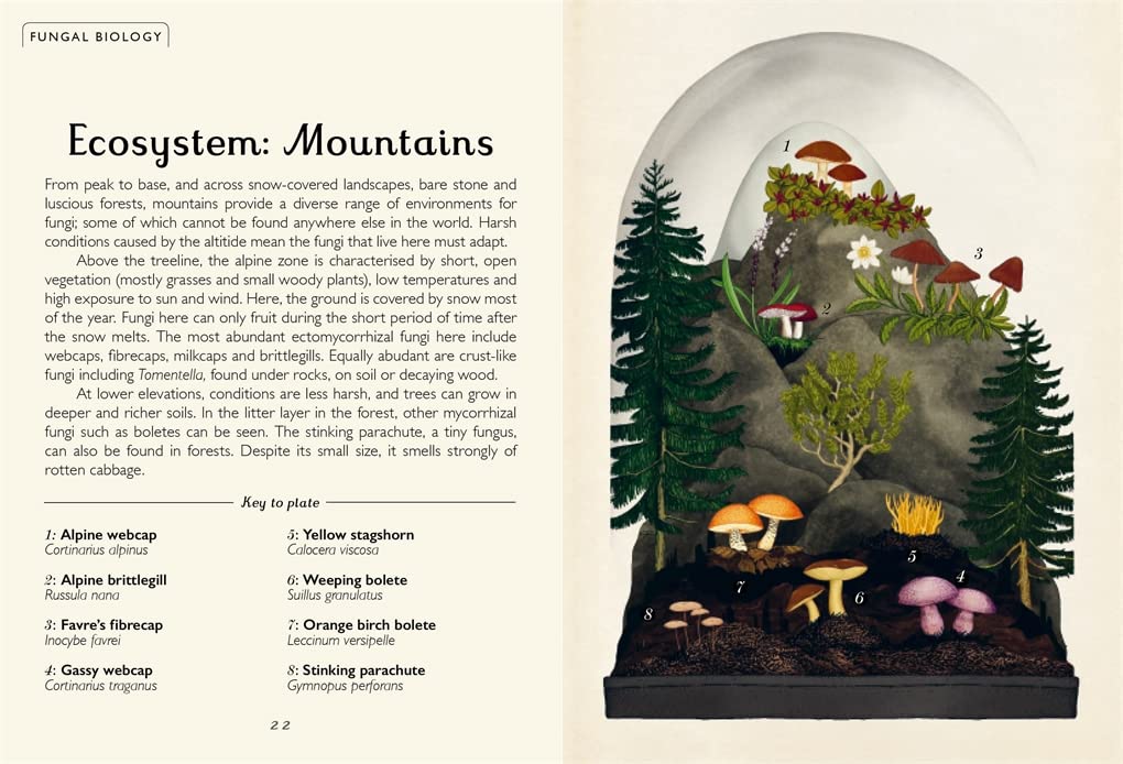 Fungarium (Mini Gift Edition) (Welcome To The Museum)