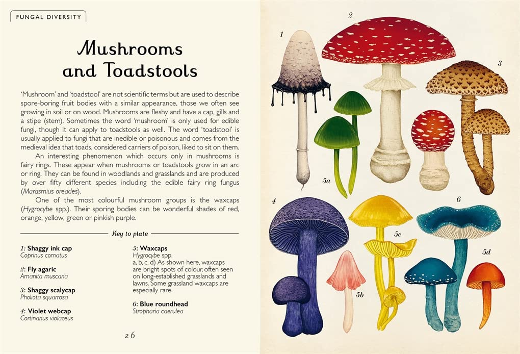 Fungarium (Mini Gift Edition) (Welcome To The Museum)