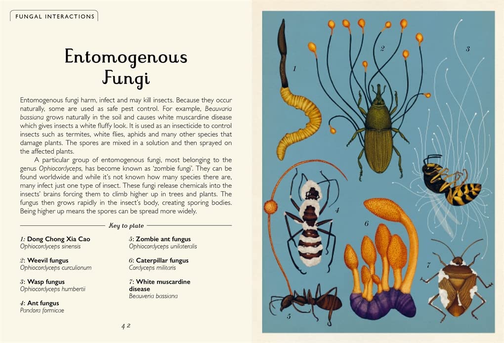 Fungarium (Mini Gift Edition) (Welcome To The Museum)