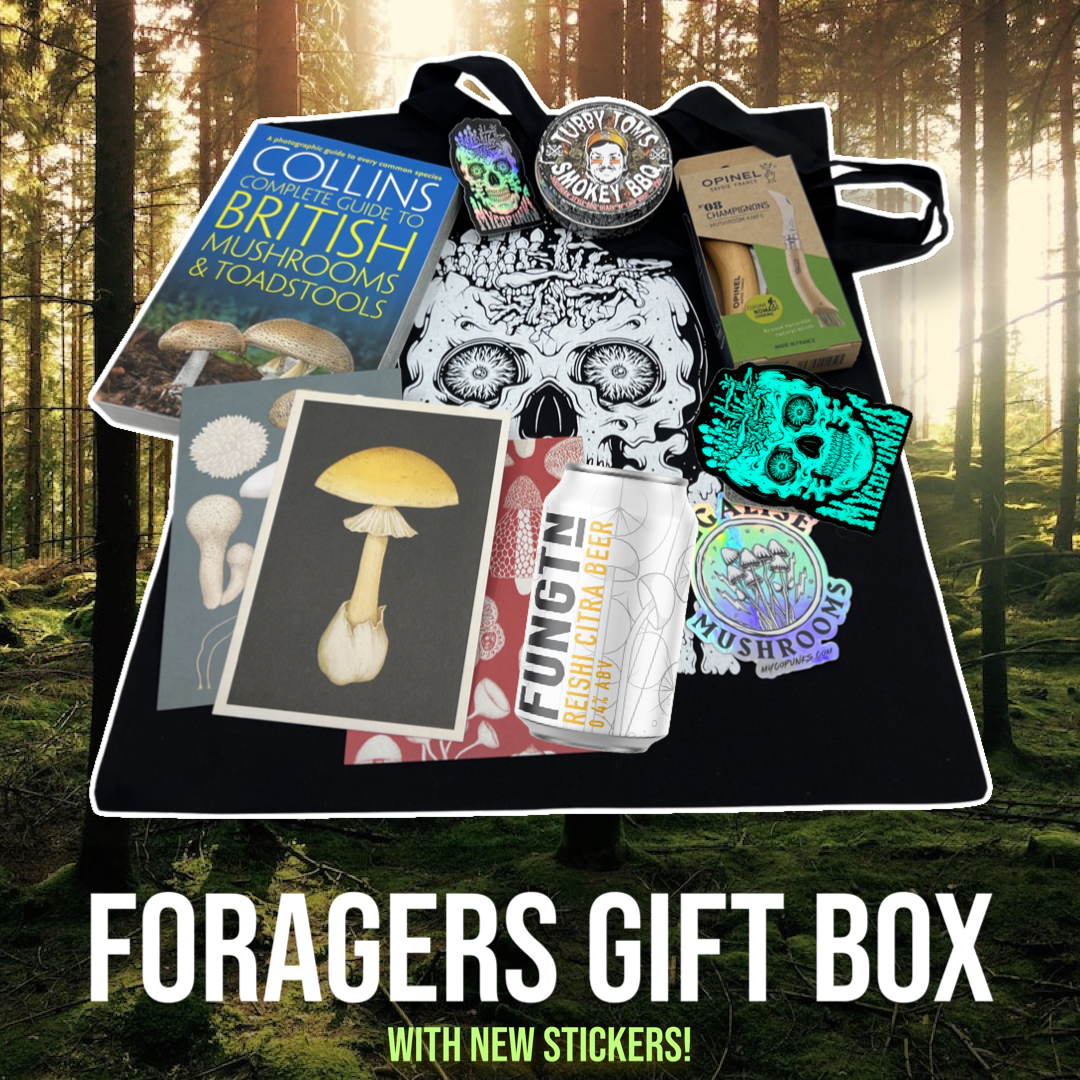 MycoPunks Gift Box : Forager's Edition