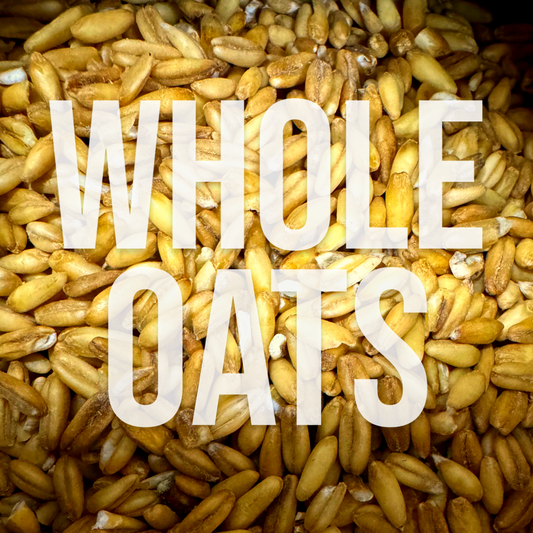 Whole Oats (Groats) for Mushroom Spawn