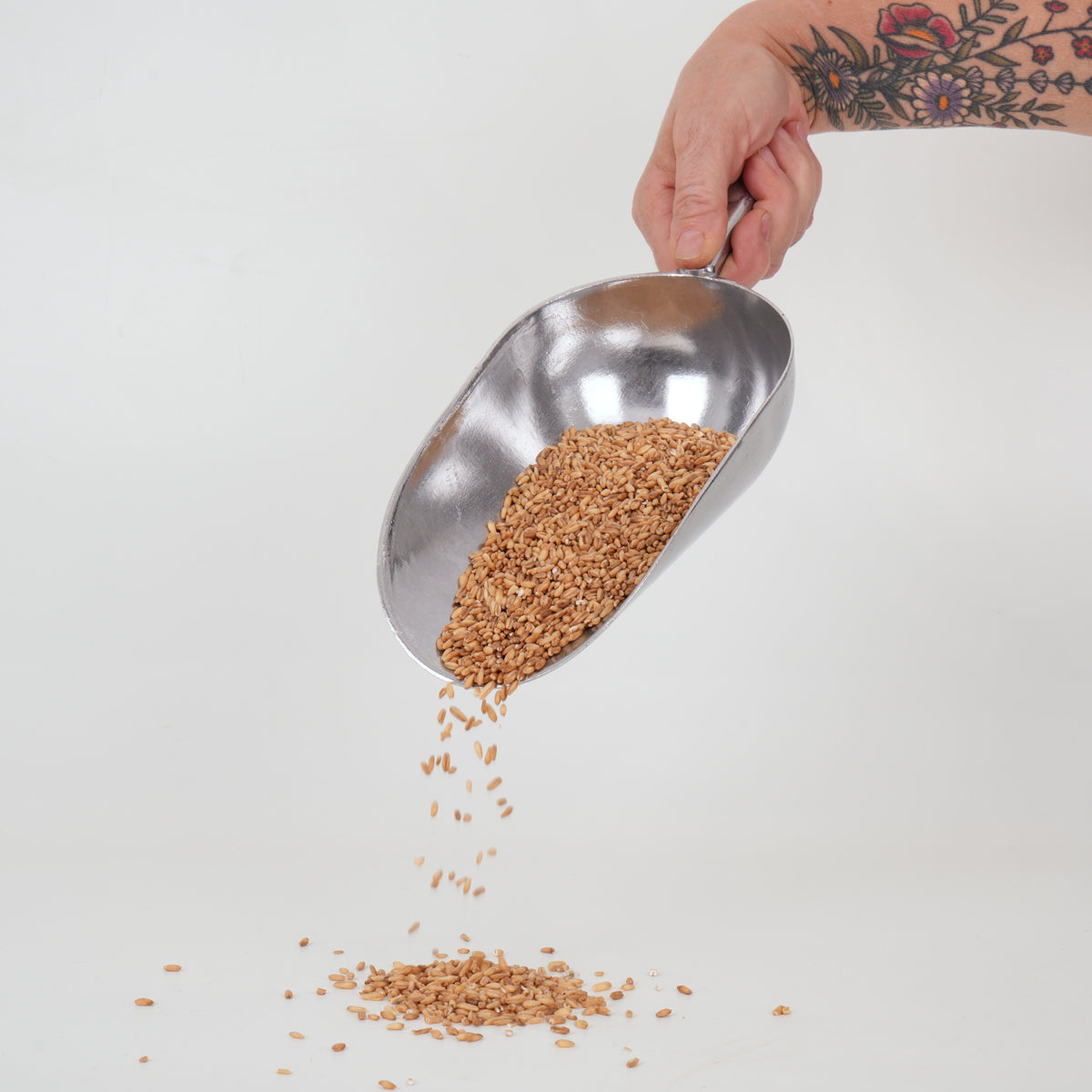 Aluminium 1kg Grain / Pellet Scoop