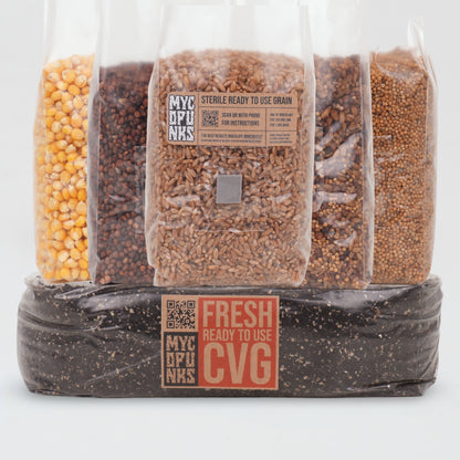 1kg Sterile Grain + 2kg CVG Bundle