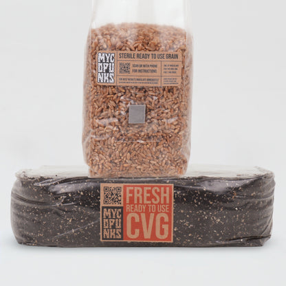 1kg Sterile Grain + 2kg CVG Bundle