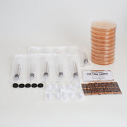 Liquid Culture Kit Refill (includes agar)