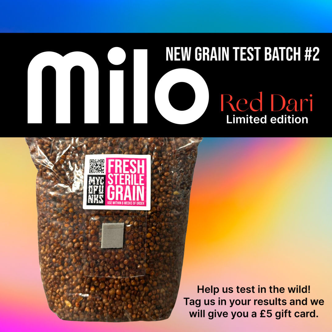 Test Batch #2 : Milo 1kg
