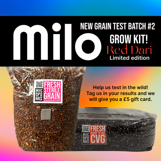 Limited Edition MILO Grow Kit! (5 PACK)