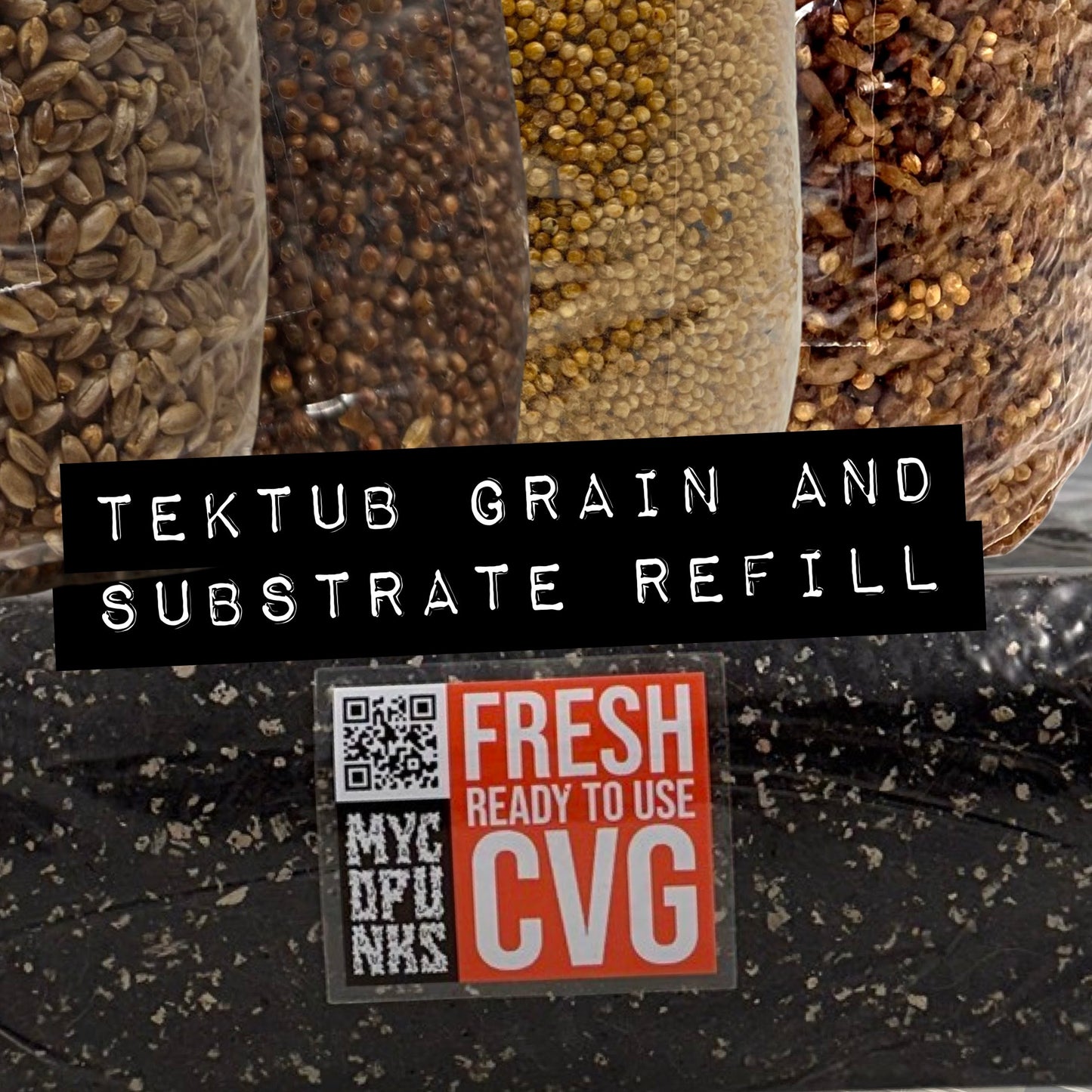 TekTub Grain and Substrate Refill (1.5kg Grain + 3kg CVG)