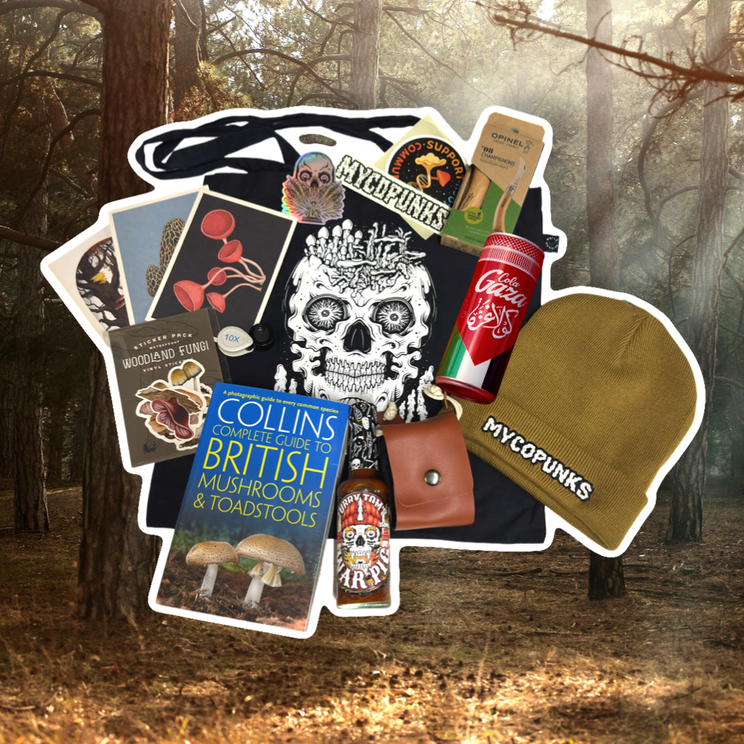 MycoPunks Mushroom Hunter Gift Box NEW 2025 Edition!