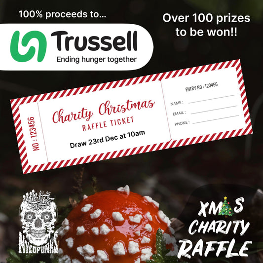 MycoPunks Xmas Charity Raffle 2024