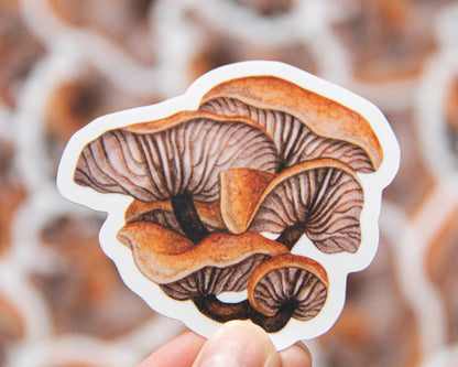Woodland Fungi Sticker Pack by Moss and Morchella