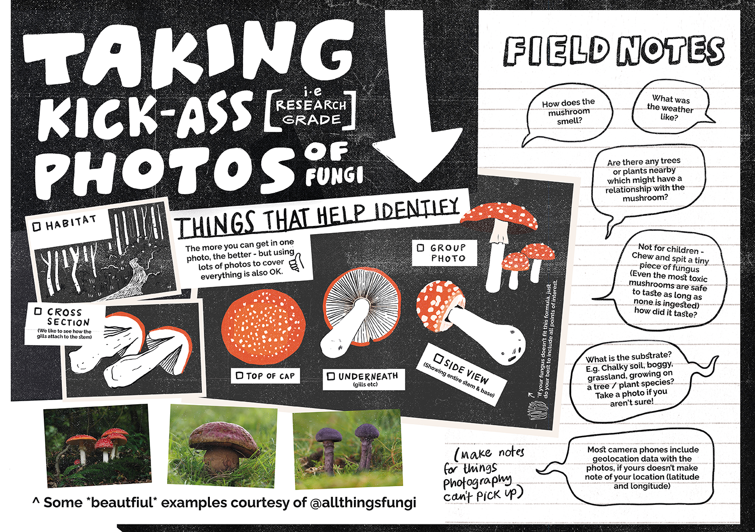 Support our DNA sequencing research