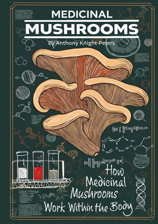 Medicinal Mushrooms: How Medicinal Mushrooms Work Within the Body