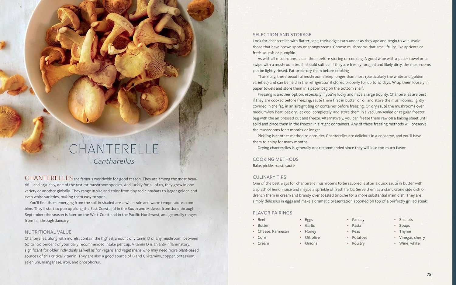 Mushroom Gastronomy: The Art of Cooking with Mushrooms (Hardcover)