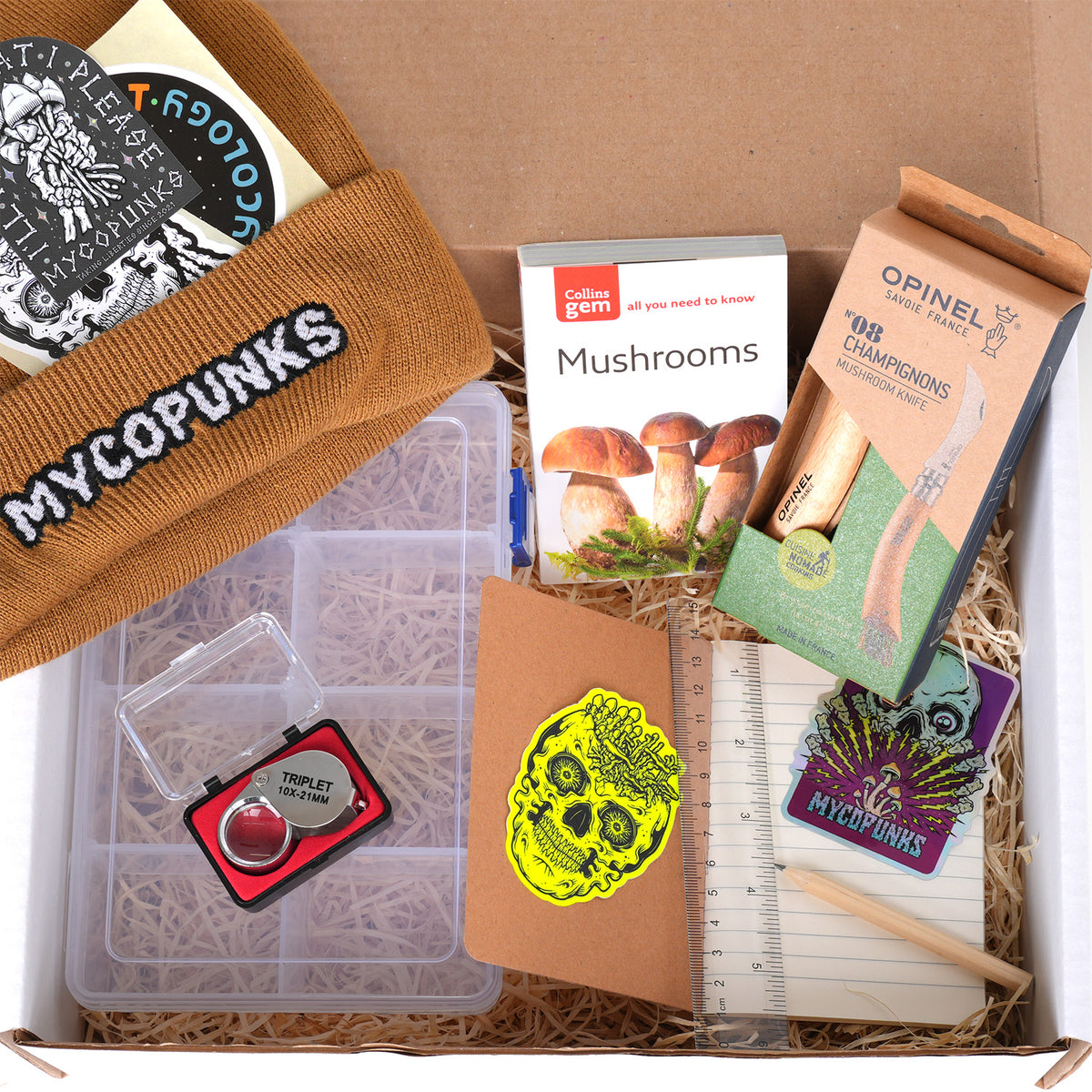 Basics Mushroom Hunters Gift Box NEW 2026!