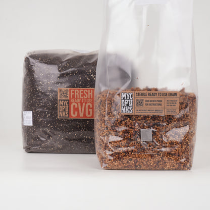 1.5kg Sterile Grain + 3kg CVG bundle