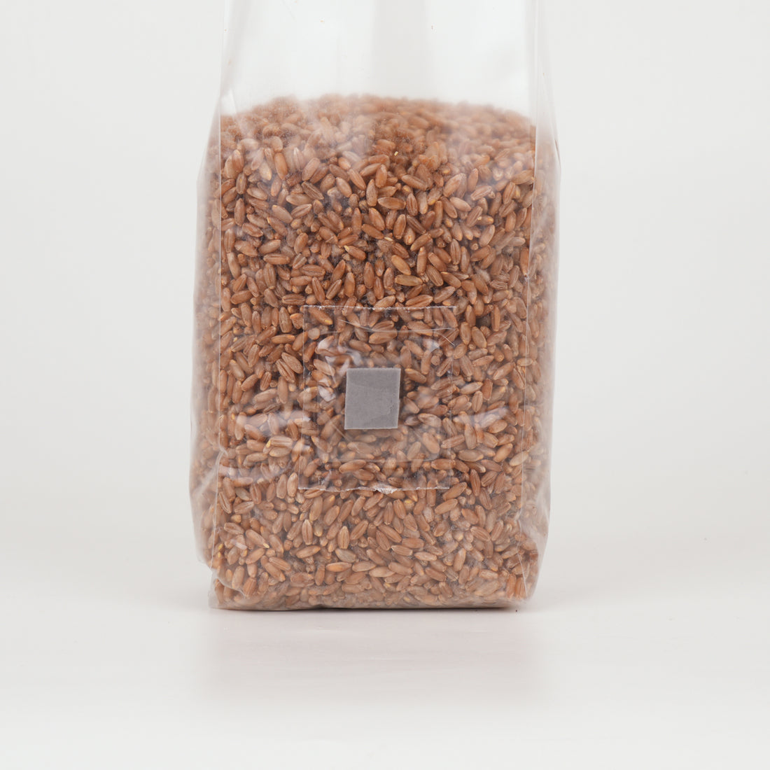 Make your own sterile grain