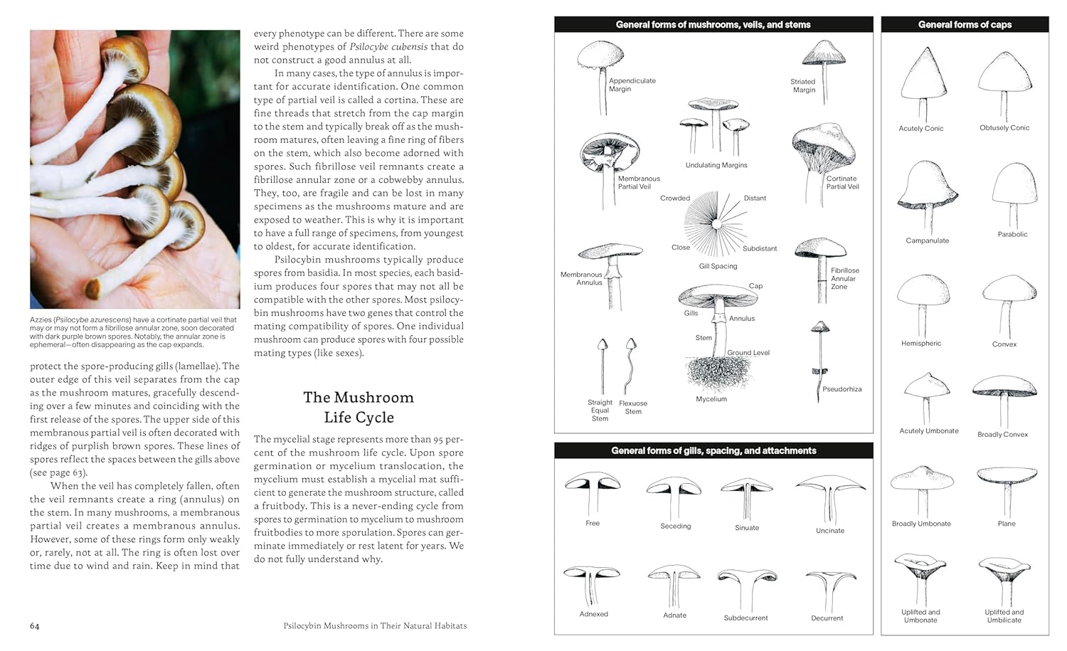 Psilocybin Mushrooms in Their Natural Habitats: A Guide to the History, Identification, and Use of Psychoactive Fungi