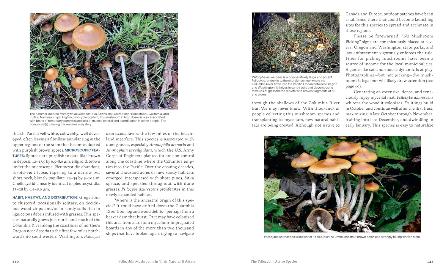 Psilocybin Mushrooms in Their Natural Habitats: A Guide to the History, Identification, and Use of Psychoactive Fungi