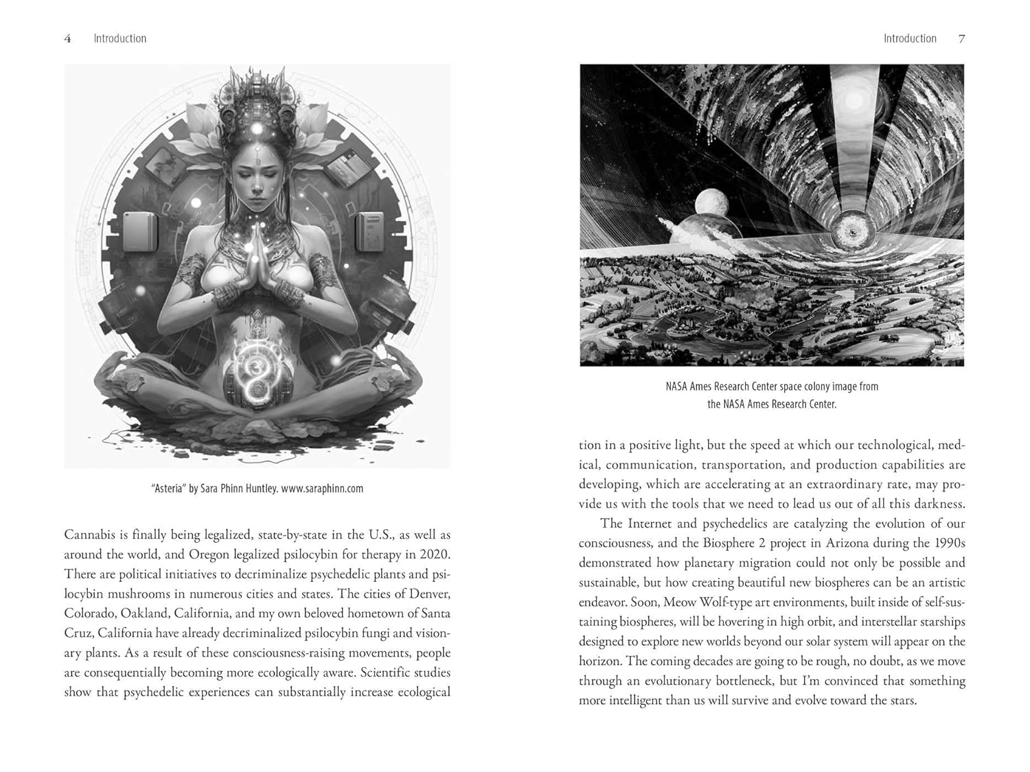 Psychedelics and the Coming Singularity: Conversations with Duncan Trussell, Rupert Sheldrake, Hamilton Morris, Graham Hancock, Grant Morrison, and Others