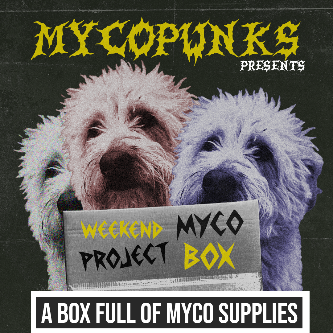 MycoPunks