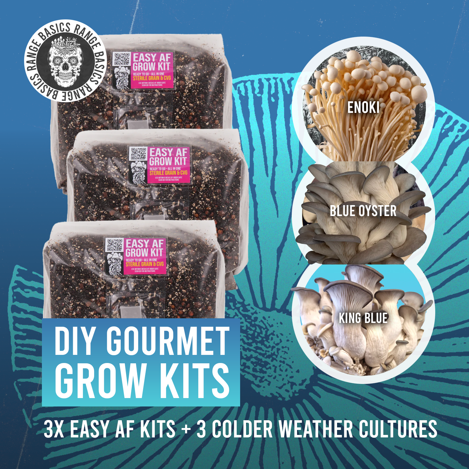 Basics: DIY Gourmet Grow Kit (Enoki, Blue Oyster, King Blue Oyster) - WINTER EDITION