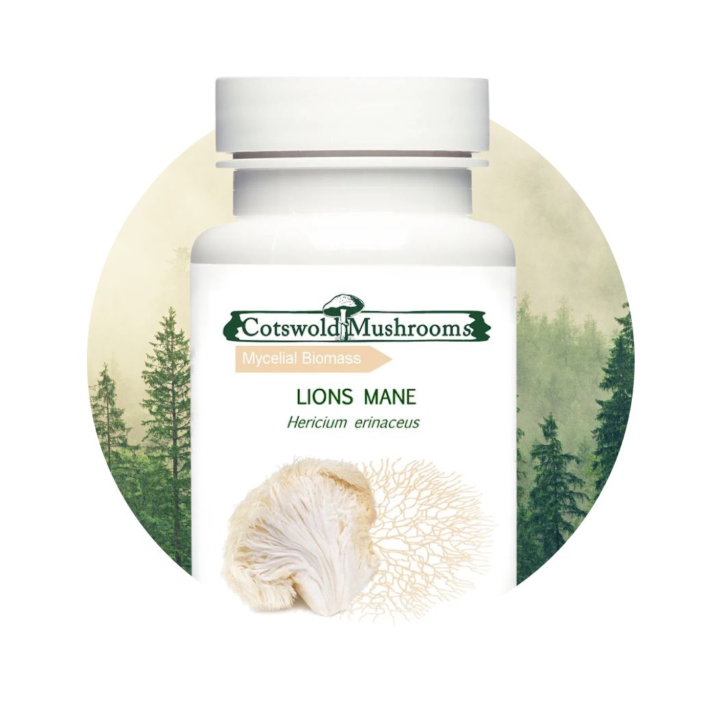 Lions Mane Mycelial Biomass Supplements by Cotswold Mushrooms