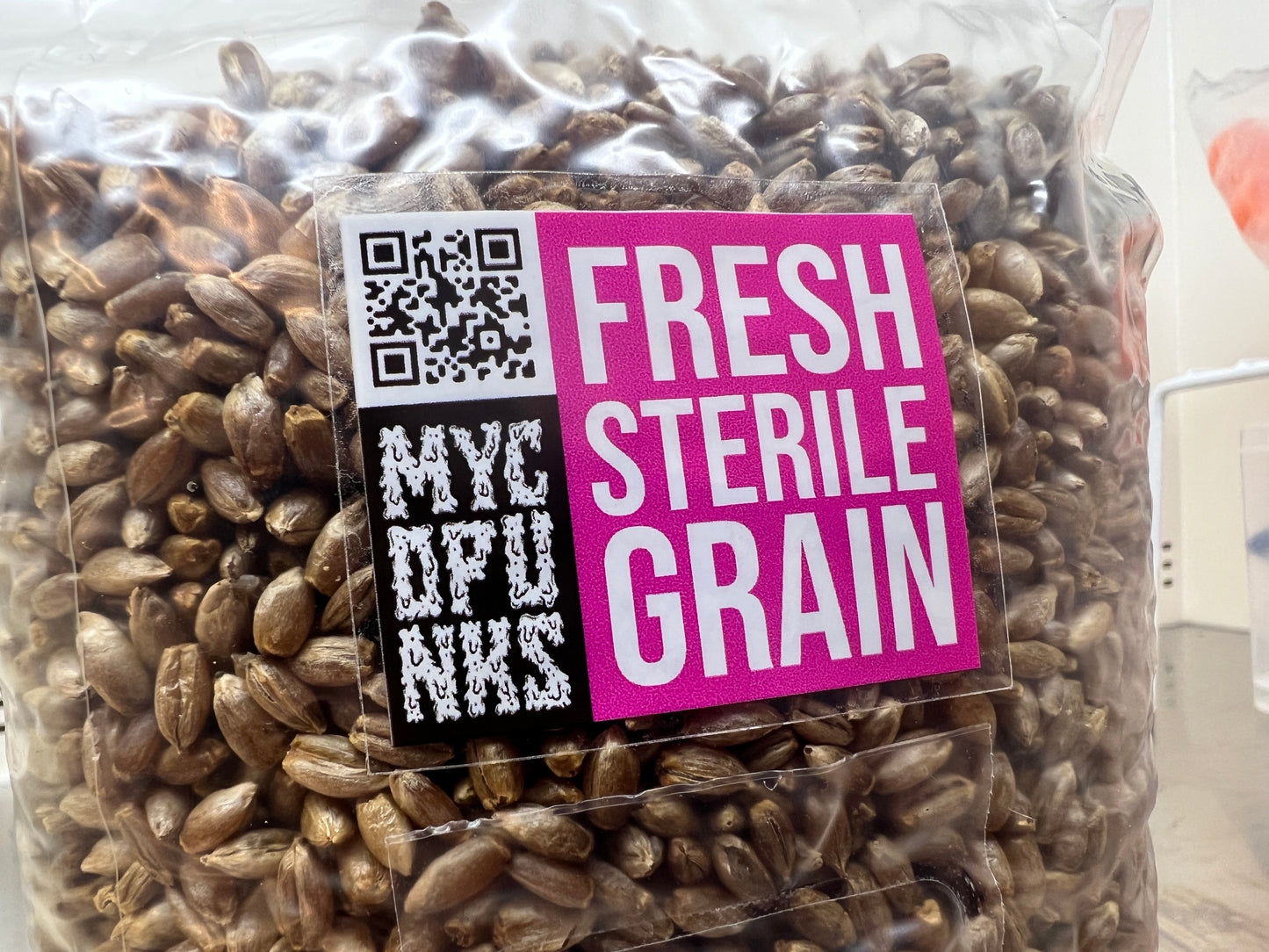Sterile Organic RYE Grain for Mushroom Spawn Production
