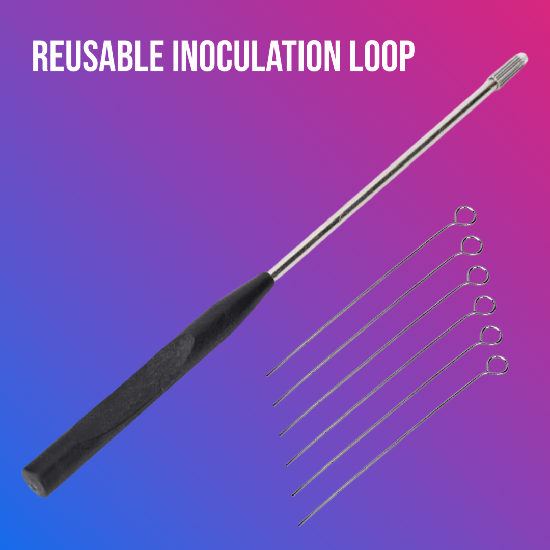 Reusable Inoculating Loop with 25 Nichrome Needle Tip Inoculation Ring ...