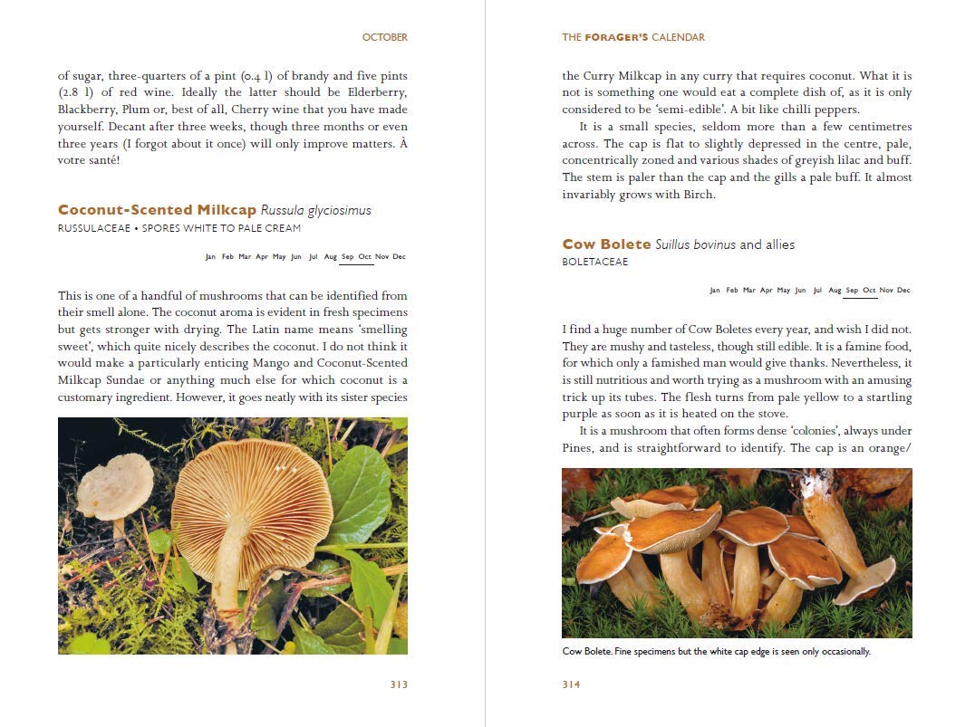 MycoPunks - The Forager's Calendar: A Seasonal Guide to Nature’s Wild Harvests - Book
