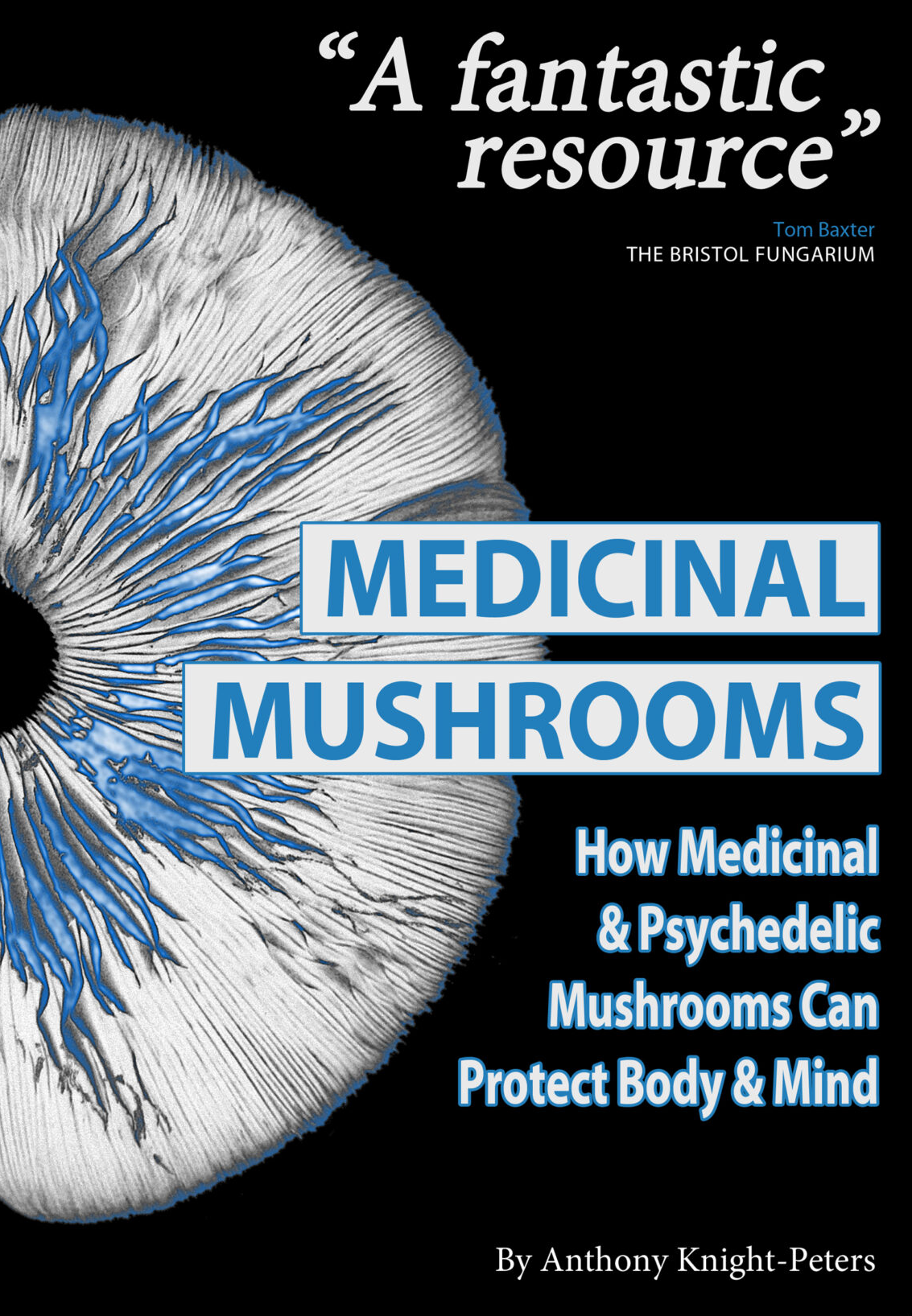 MycoPunks - MEDICINAL MUSHROOMS: How Medicinal and Psychedelic Mushrooms Can Protect Body and Mind - Book