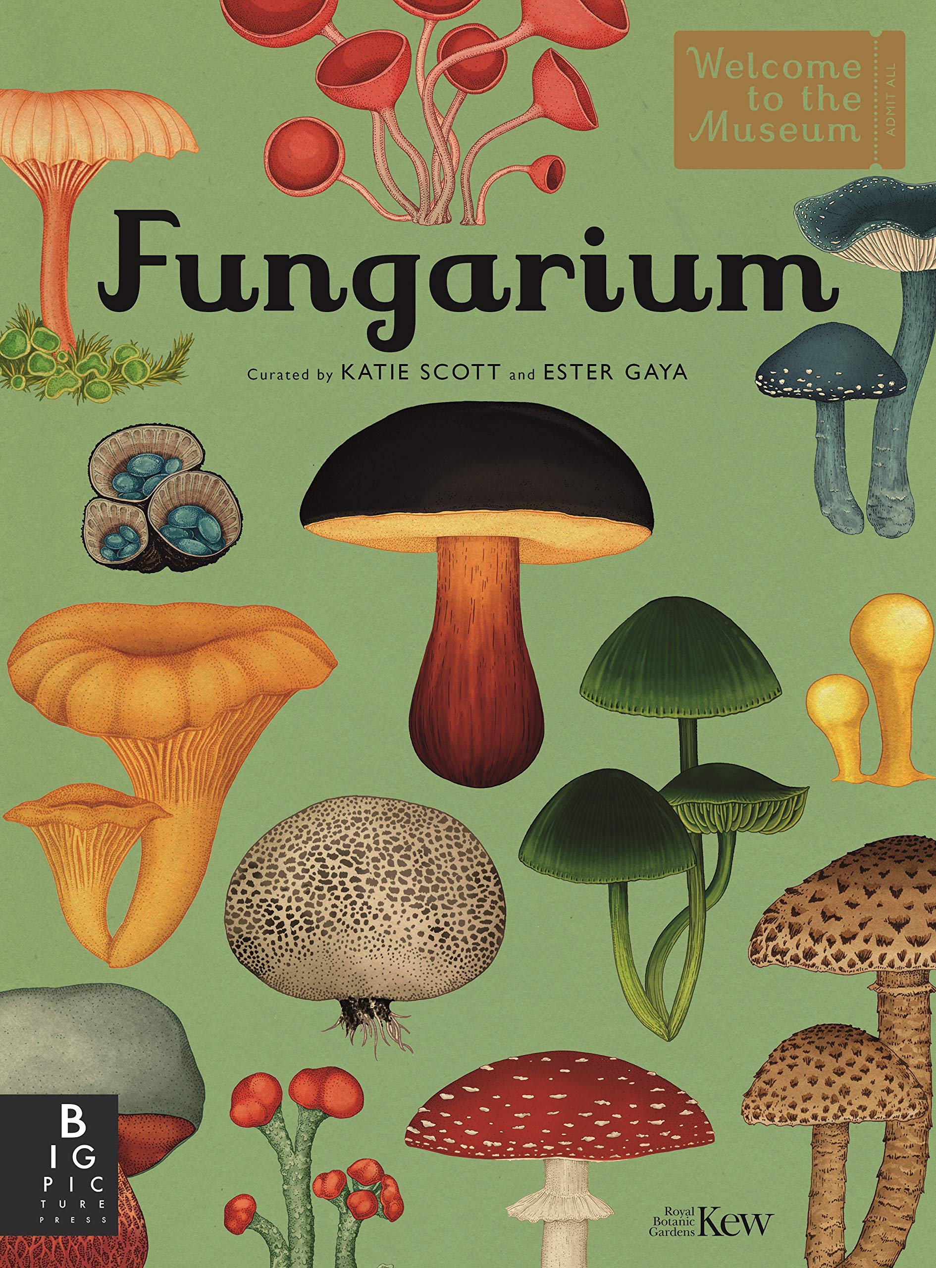 MycoPunks - Fungarium (Welcome To The Museum) Hardcover - Book