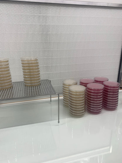 Pink and yellow agar plates stacked up in front of flow unit